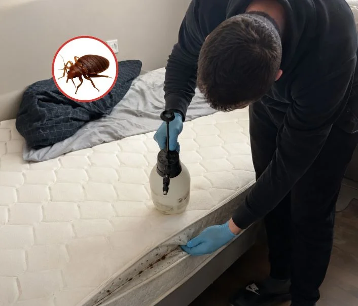 Technicien traitant un matelas contre les punaises de lit à Boulogne-Billancourt